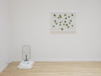 A glass carboy sits atop a keg washing fountain placed in a plastic containing tray on the floor in a corner of a white-walled art gallery. On the wall beside it hangs a framed photograph of four leaf clovers on graph paper.