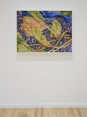 A framed photograph of rhubarb leaves on a blue and floral pattern textile and blue tarp hangs on a white gallery wall.