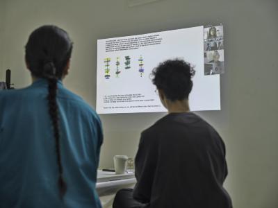 Two guests face away from the camera and towards a projection of a zoom presentation on the wall. The title on the screen reads Colour Code followed by text and a diagram with different color blotches labeled by either a letter or number. Four Zoom participants are visible in domestic settings, as windows on the right side of the projection.