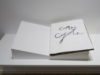 An artist book lies closed on an angular plinth. It has a white cover with “Come Coyote” in black handwritten text.