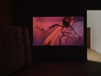 A video is projected on a wall. The still shows a hand finger painting an animal on a fuschia plexiglas surface.  