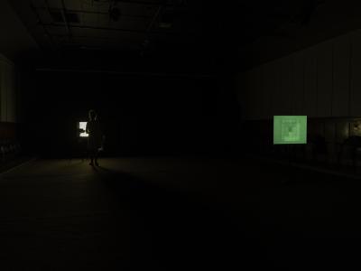 Images are projected onto two screens arranged in a dark room. The screen closest to the camera has a green hue and displays an image of a textile. Further back in the space, a person appears as a silhouette illuminated by the glow of the other projected image. 