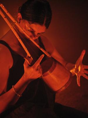 Samita Sinha tucks an ektara near her neck and downwards turned face. One of her hands holds a bamboo arm of the instruments while the other hand hovers to the instruments side, with fingers widely spread. Saturated orange-red lights the space, turning all shadows into a near black.