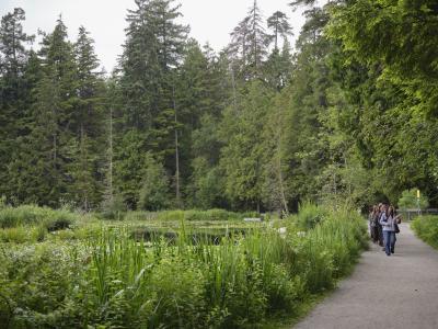 An overgrown pond reflects the deep greens of pine trees as a line of young adults playing slit drums walk down a path to the right. A bridge crossing the pond and a bench can be seen behind them.