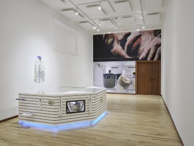 The shortest wall of a rectangular gallery space is covered in a wallpaper that has a photo of a glamorous Chinese grandmother above a monumental photograph of the inside of a refrigerator. The grandmother’s fingers trace the frame of cherry wood double doors. A five sided kiosk made of white slatboard sits at the centre of the room. A screen is embedded into one of the surfaces, and icy blue light emanates from below the structure. A white dress shirt on a hanger is taped to the wall behind the kiosk. 