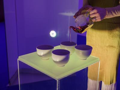 A close up shot of an exhibition guide wearing a yellow apron pouring bright red tea from a glass teapot into one of four ceramic tea bowls placed atop a plexiglass vitrine.